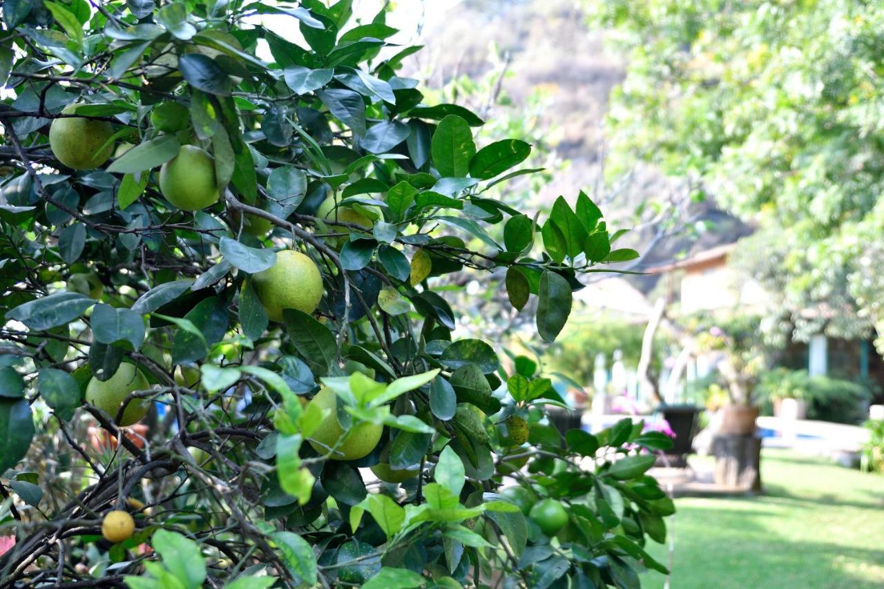 Quinta Cielo - Boutique Y Restaurante Frühstückspension 3*