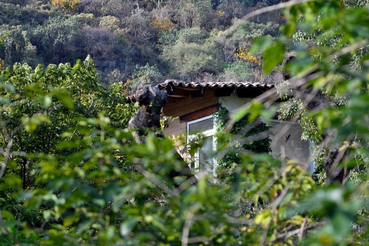 Quinta Cielo - Boutique Y Restaurante Frühstückspension Malinalco